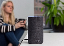 Nhân viên Amazon phải nghe 1.000 bản ghi âm để cải thiện trợ lý giọng nói ảo Alexa