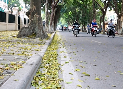 Thời tiết ngày 13/4 : Bắc bộ mưa rào và dông, Trung bộ nắng nóng diện rộng trở lại