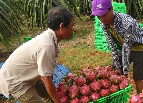 Tiêu dùng trong tuần: Giá vàng, tôm và trái cây đồng loạt giảm mạnh, trong khi thực phẩm tăng giá