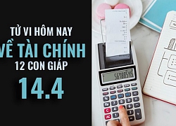 Tử vi (14/4/2019) về tài chính của 12 con giáp: Tuổi Tỵ quan tâm chất lượng hơn số lượng