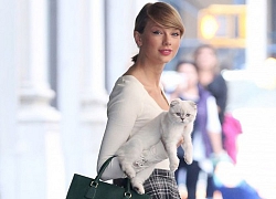 Vai diễn đầu tay chọn ngay "hoàng thượng", Taylor Swift quả là "con sen" chính hiệu