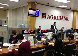 Agribank và hành trình 31 năm mang dấu ấn "tam nông"