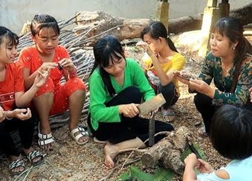 Bông Ô Môi rơi đầy trước ngõ hái trái ô môi ăn ngọt và thơm