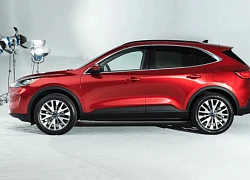 Chi tiết Ford Escape 2020 - đối thủ của Honda CR-V và Mazda CX-5