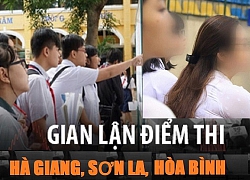 Điểm danh những "thủ khoa rởm" đến từ Hòa Bình, Sơn La