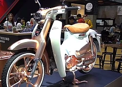 Honda Super CUB C125 màu vàng hồng CỰC ĐỘC