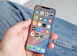 iPhone XE là chiếc smartphone nhỏ gọn mà nhiều người mong đợi?