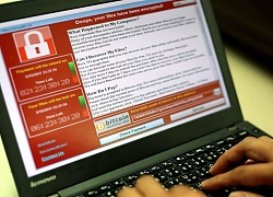 Anh hùng tiêu diệt WannaCry nhận tội tấn công mạng ngân hàng