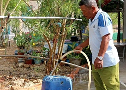 Bình Thuận: Người dân vùng cao Thuận Hòa 'khát' nước sạch trong mùa khô