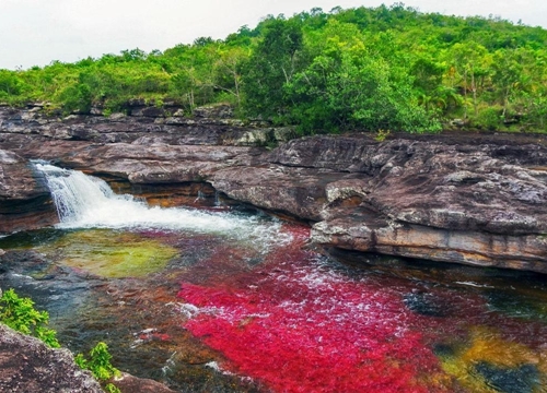 Đến Colombia - Ngắm dòng sông đẹp nhất thế giới