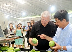 Điểm danh những trái cây Việt được "xuất ngoại" sang các thị trường "khó tính"