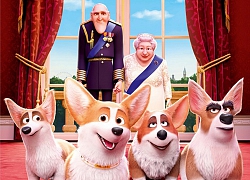 Điểm mặt dàn boss cưng xinh yêu hết nấc trong "Corgi: Những Chú Chó Hoàng Gia"