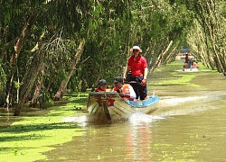 Hạn, mặn khốc liệt ở miền Tây