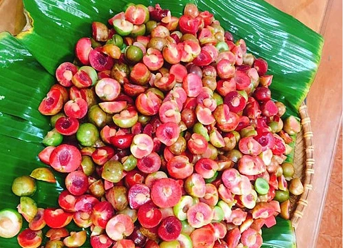 Mận hậu đầu mùa 200 ngàn/kg vừa chát vừa chua mà chị em vẫn không tiếc tiền vì thèm