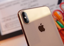 "Ông đồng Apple" dự báo iPhone 2019 sẽ có camera góc siêu rộng, camera selfie 12MP, lớp phủ giúp camera ẩn sau mặt lưng