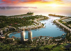 P.Land bắt tay hợp tác với Tập đoàn Gami và Tập đoàn Tuần Châu phân phối dự án Tuần Châu Marina