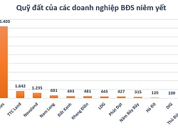 Quỹ đất lớn của các doanh nghiệp địa ốc đang nằm ở đâu?