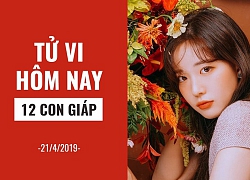 Tử vi chủa nhật (21/4/2019) của 12 con giáp: Tuổi Tý đừng để bụng chuyện cũ