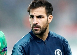 Cesc Fabregas đầy ẩn ý khi nói về khả năng vô địch Champions League của Spurs