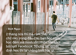 Chúng ta và hiện thực phũ phàng rằng đời không như mơ: Khi mọi thứ đều có thể trở thành áp lực