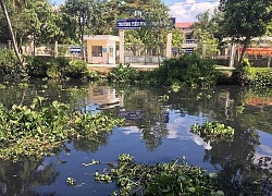 Hậu Giang : Khẩn trương điều tra, xác minh dòng nước đen bất thường