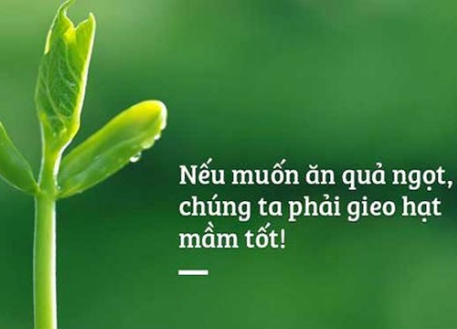 Nếu chiếc bánh mì ấy có thuốc độc