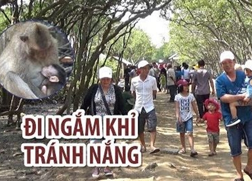 Người Sài Gòn đổ xô đi Đảo Khỉ Cần Giờ tránh nóng