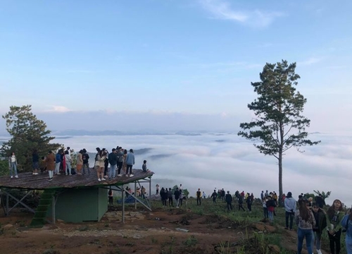 Săn mây - chuyến đi "huyền thoại" mà ai đến Đà Lạt cũng nên thử, kể cả những "con sâu mê ngủ"