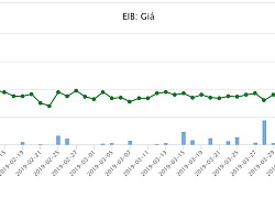 Sóng ngầm Eximbank: Dấu vết Nam Á và cuộc chiến quyền lực