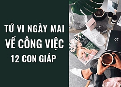 Tử vi ngày (23/4/2019) về công việc của 12 con giáp: Tuổi Dần đừng "chọc vào tổ kiến lửa"