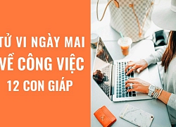 Tử vi hàng ngày (24/4/2019) về công việc của 12 con giáp: Tuổi Mão càng thực tế càng thành công