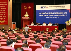 BIDV giảm mục tiêu lợi nhuận năm 2019