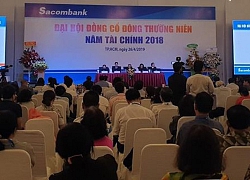 ĐHĐCĐ Sacombank (STB): Chưa thể chia cổ tức cho cổ đông vì đang giai đoạn tái cơ cấu