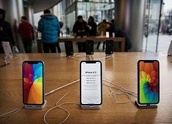 Goldman Sachs: Doanh số iPhone năm nay sẽ gây thất vọng