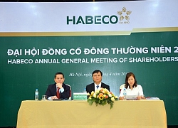 Habeco đặt mục tiêu lợi nhuận trước thuế hơn 384 tỷ đồng trong năm 2019