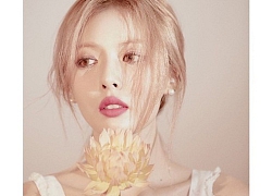 HyunA xác nhận tham dự WaterBomb 2019, 'nữ hoàng quyến rũ' sắp sửa quay lại và 'đốt cháy' mùa hè rồi đây!