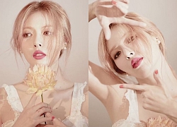 HyunA xuất hiện trong bộ ảnh 'điểm danh' của P Nationa, fan 'la ó' hãy dùng concept này để comeback đi nào!