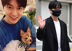 Lee Min Ho nhanh chóng 'làm mới' trang cá nhân của mình bằng loạt ảnh chụp với nhân vật đặc biệt này sau khi xuất ngũ