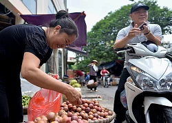 Mận hậu đầu mùa 180.000 đồng/kg vẫn không có hàng để bán