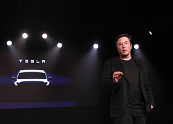 Mạnh miệng khoe Tesla làm chip giỏi hơn Nvidia, nhưng không ai tin lời Elon Musk