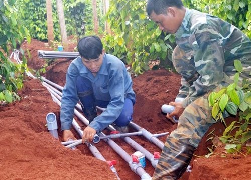 Ứng phó biến đổi khí hậu khu vực Tây Nguyên