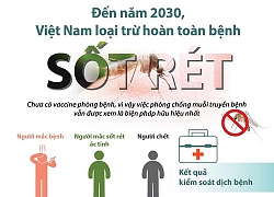 Việt Nam loại trừ hoàn toàn bệnh sốt rét vào năm 2030