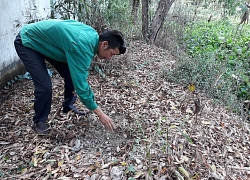 Vụ 300 xác thai nhi ở nhà máy rác Cà Mau : Tổ công tác cần thiết sẽ khai quật, kiểm tra