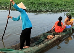 Hái Rau Muống về luộc ăn với Cá Bống Kho Sả bữa cơm ngoài đồng