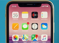 iPhone Xr 2019 sẽ có giá bán bằng iPhone Xr, nhưng nhiều tính năng "ngon" hơn?