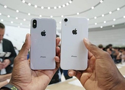 Loạt iPhone 2019 sẽ trang bị camera 'khủng', Galaxy S10 dè chừng