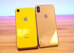 Nghịch lý iPhone XR bán chạy tại Mỹ nhưng 'chết' ở Việt Nam