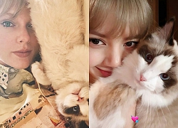 Taylor Swift và Lisa (Black Pink) đúng là 2 chị em: Ngoại hình giống nhau đã đành, đến 2 chú mèo cưng nhìn cũng như sinh đôi