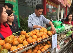 Tỷ phú cam Hà Giang chia sẻ bí quyết xài phân cho cam to, ngọt