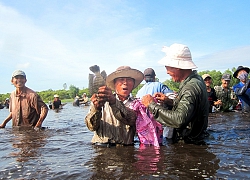 Về Quảng Trị ghé trằm Trà Lộc